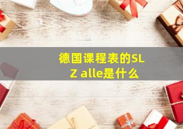 德国课程表的SLZ alle是什么